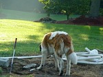 DSC00538.jpg
