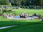 DSC00539.jpg