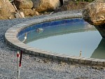 DSC00569.jpg