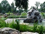 DSC05226.jpg