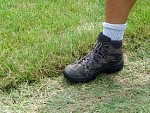DSC00407.jpg