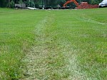 DSC00409.jpg