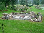 DSC00431.jpg