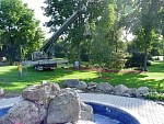 DSC00786.jpg