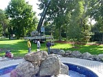 DSC00788.jpg