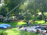 DSC00794.jpg
