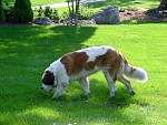 DSC00807.jpg