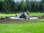 DSC01049.jpg
