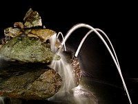 DSC01080.jpg