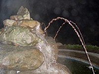 DSC01081.jpg