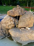 DSC00636.jpg