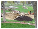 pile1.jpg