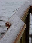 DSC06125.jpg