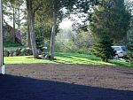 DSC07145.jpg