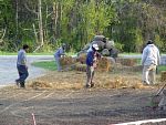 DSC07166.jpg