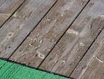 DSC00393.JPG