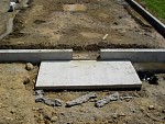 DSC04553.jpg