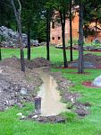 DSC05420.jpg