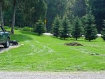 DSC00996.jpg