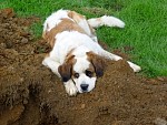 DSC01002.jpg