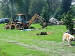 DSC01009.jpg