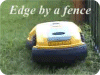 Edge by fence