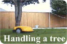 Handling a tree